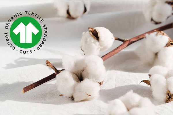 Sustainable Organic Cotton Production Continues to Grow Globally