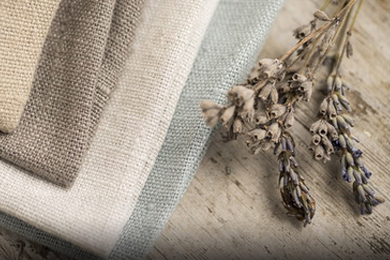 The New Trend of Eco-friendly Clothing in the Future