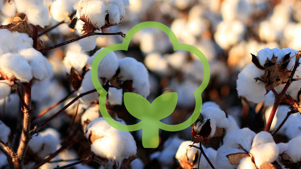 Organic Cotton